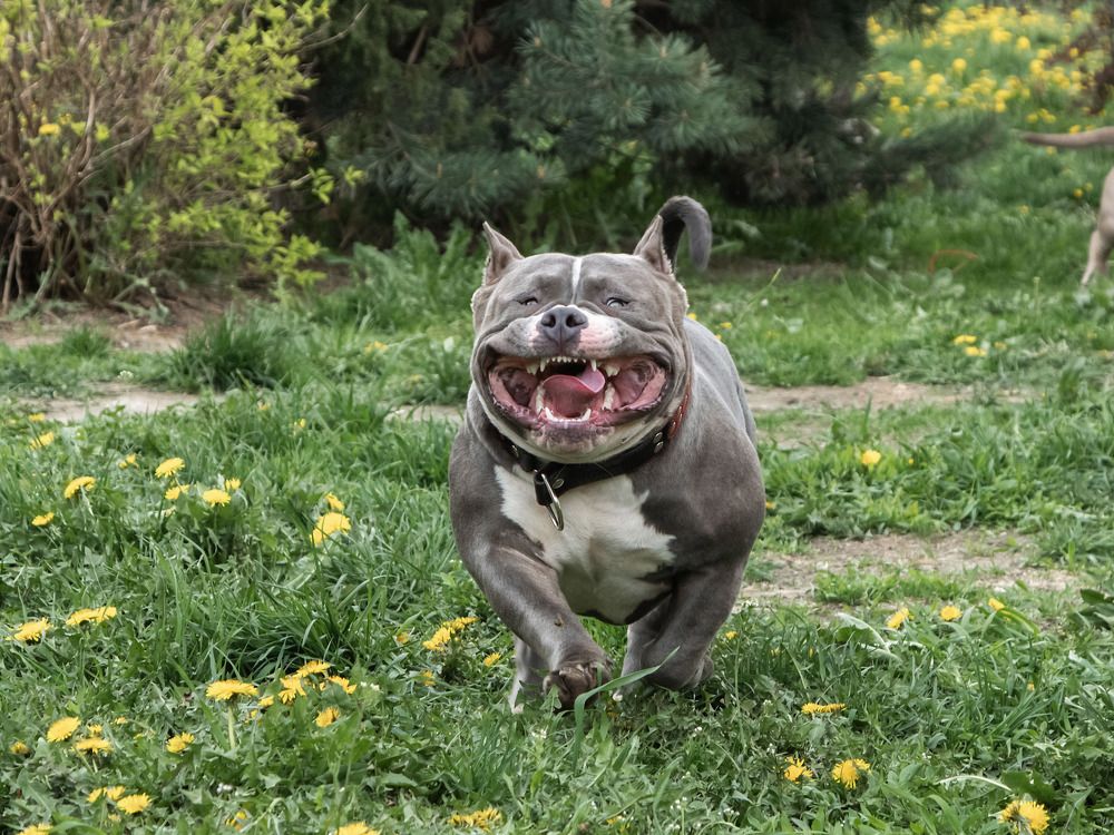 Photograph by Андрей Сафонов