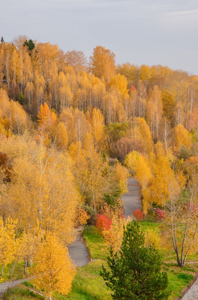 Photograph by Frolova Tatyana