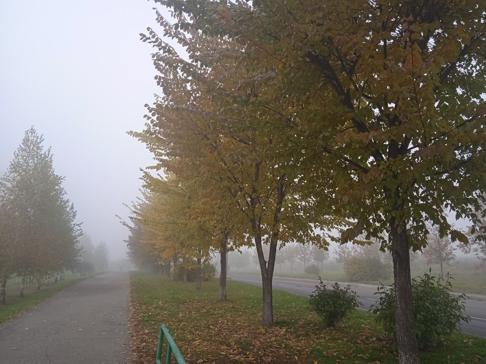 Photograph by Наталья Сорокина