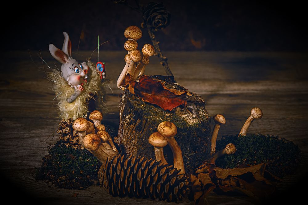 Photograph by Сергей Немчинов