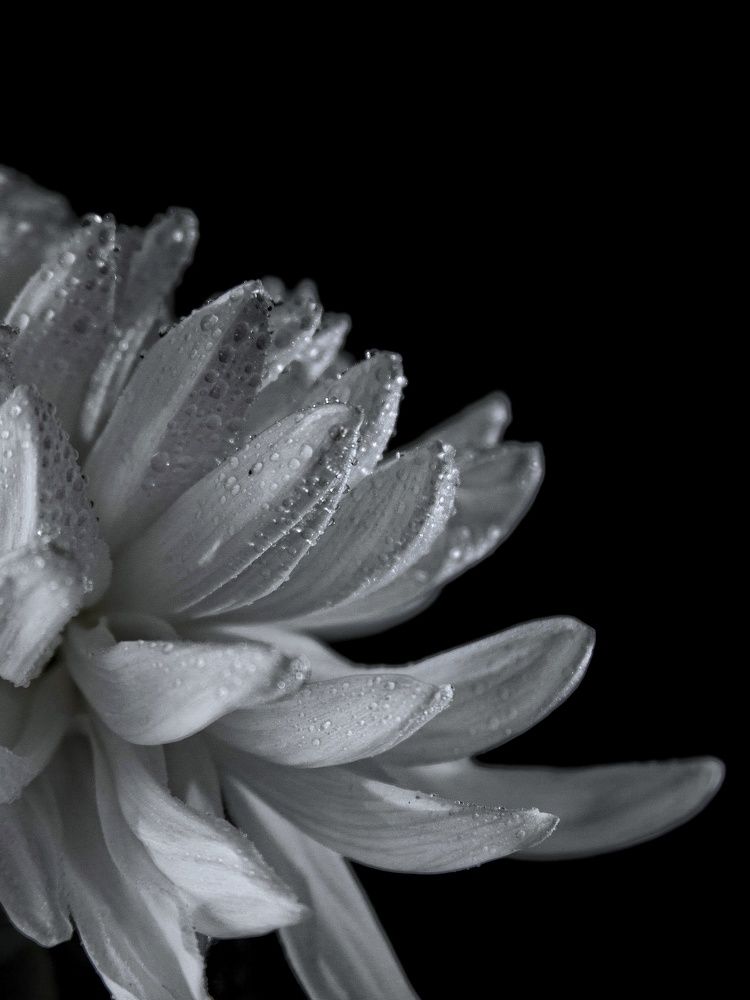 Photograph by Тамара Аржанова