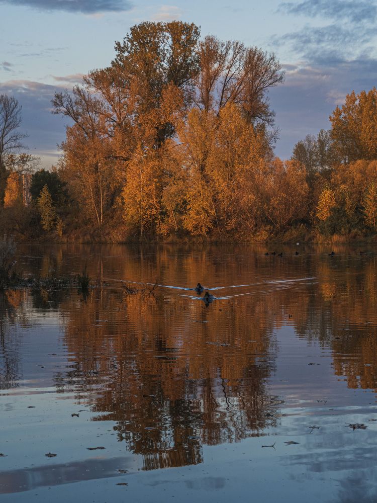 Photograph by Светлана Андреева