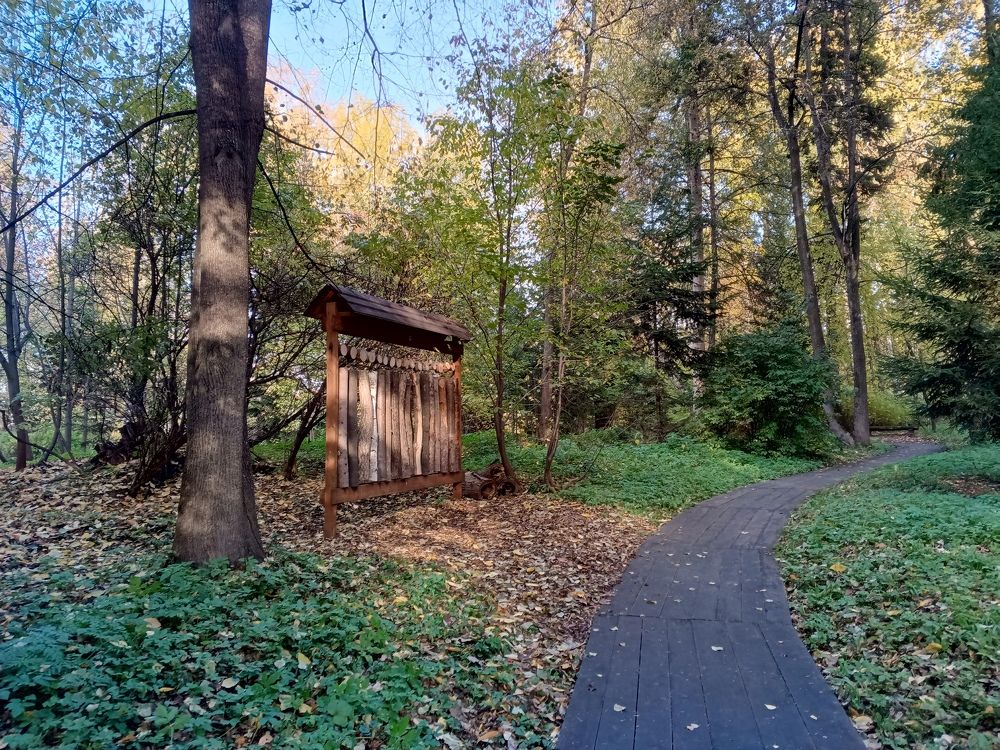 Photo #9651189