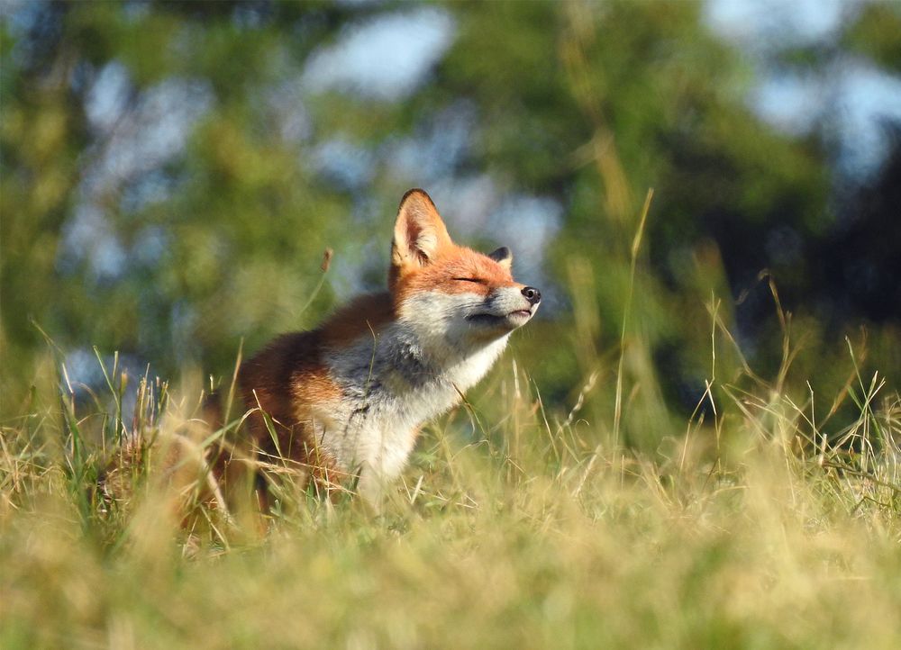 Фотография автора Grazyna Widuch