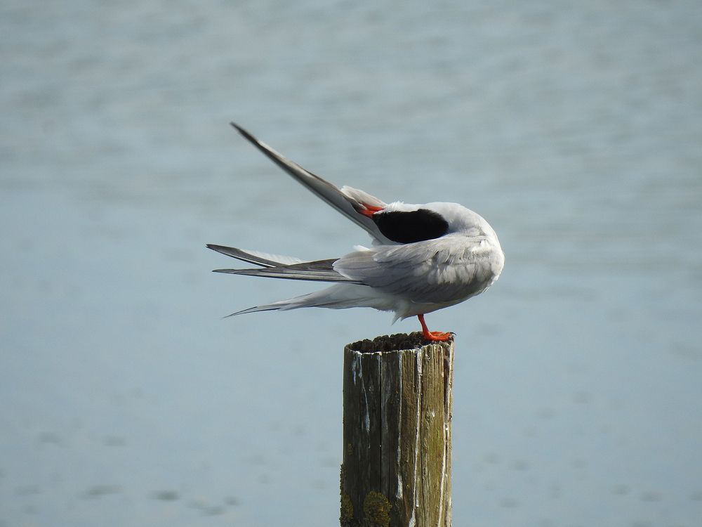 Фотография автора Grazyna Widuch