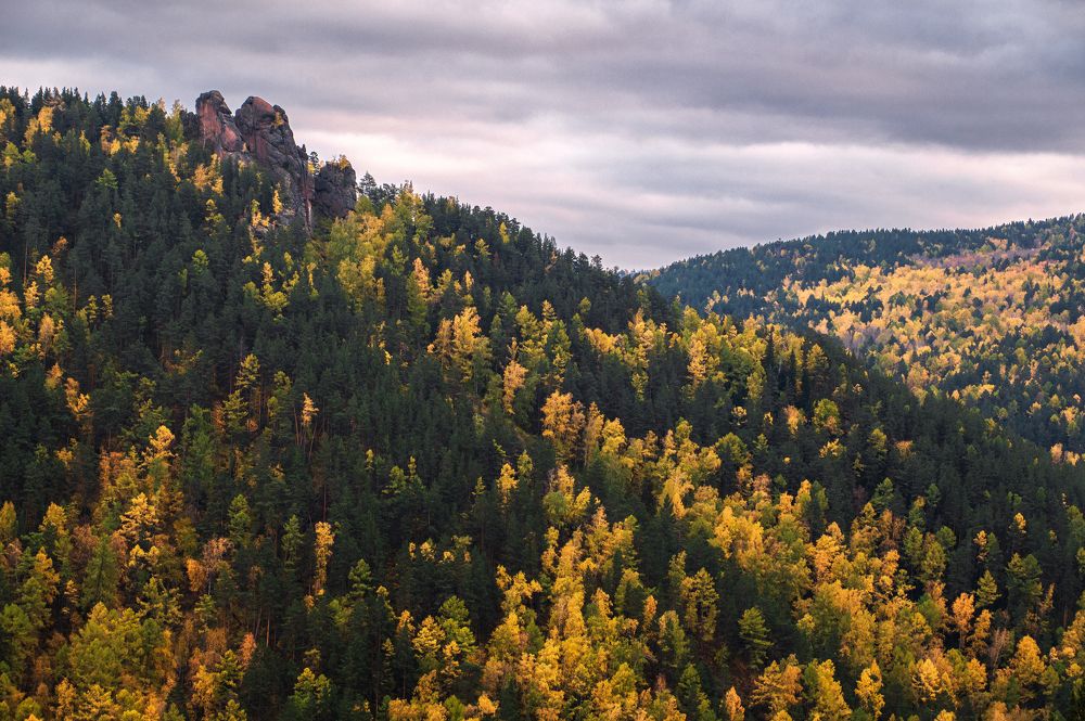 Photograph by Светлана Андреева