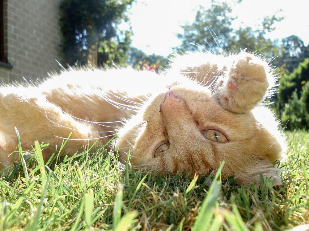 Фотография автора Grazyna Widuch