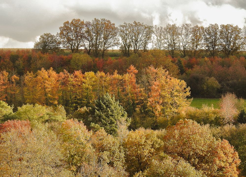 Фотография автора Grazyna Widuch