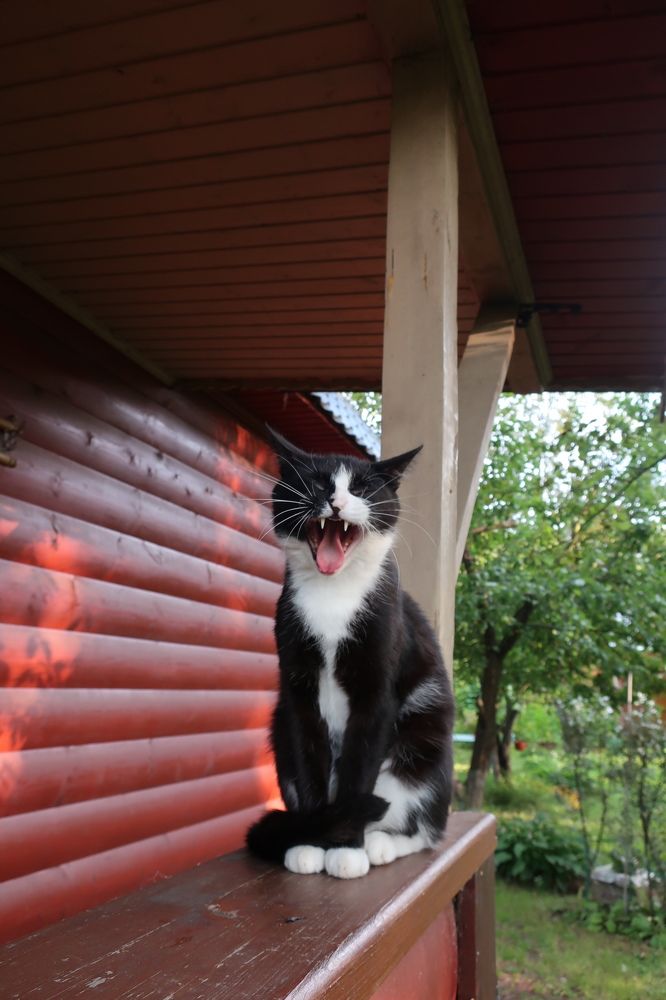 Photograph by Надежда