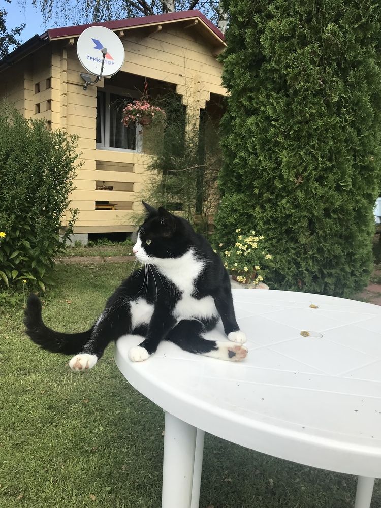 Photograph by Надежда