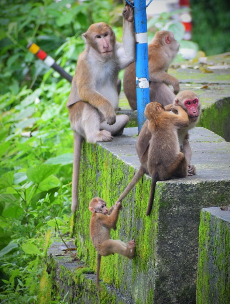 Photograph by Sudip Biswas