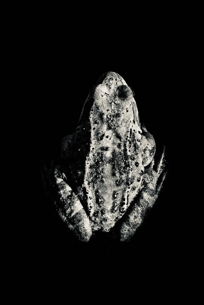 Photograph by Елизавета