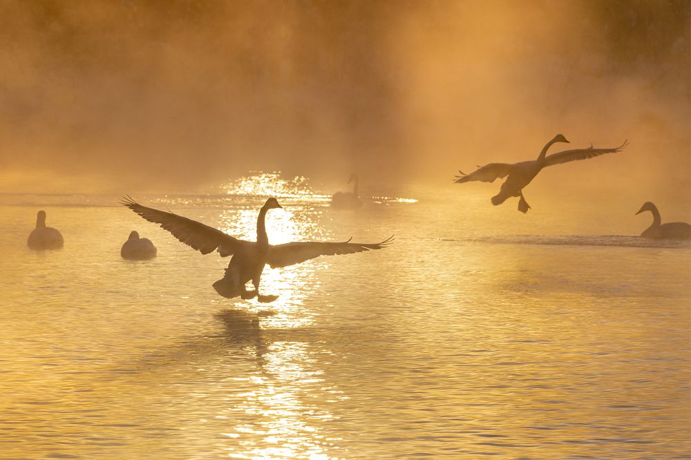 Photograph by Евгений Санин