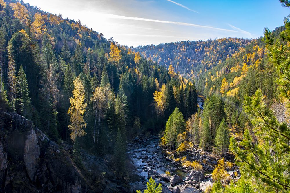 Фотография автора Анатолий Мацеля