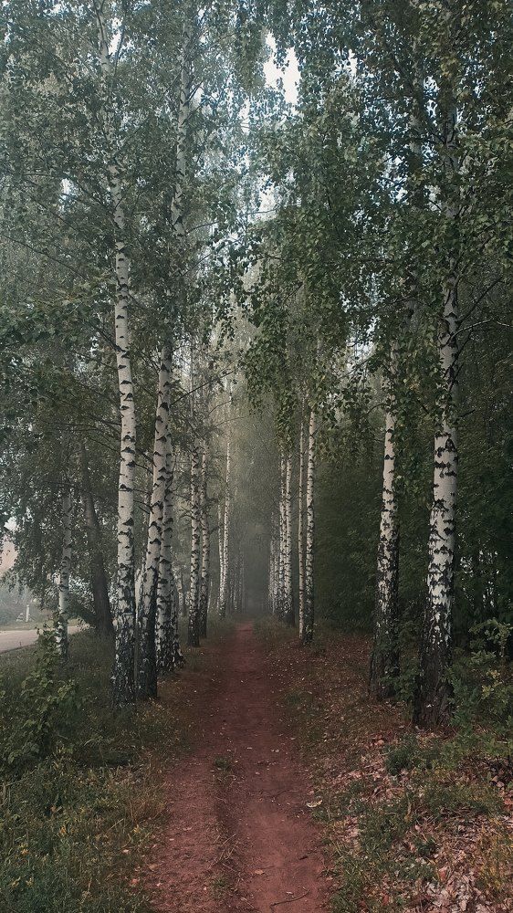 Photograph by Эльмира