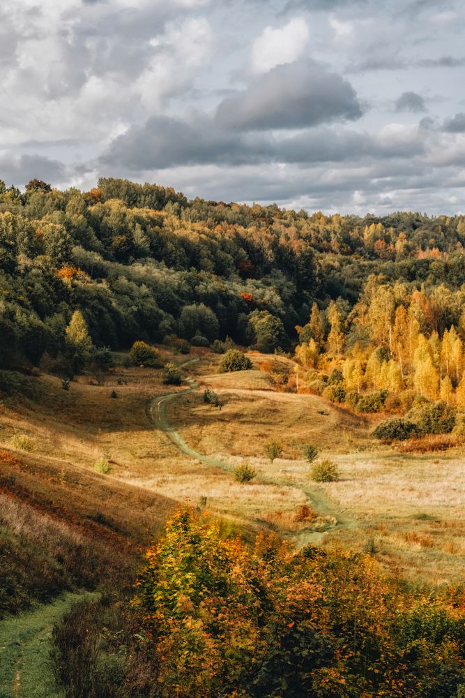 Photograph by Игорь Котиков