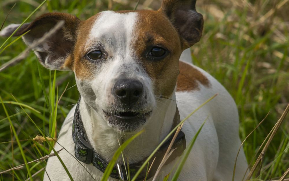 Photograph by Цветков Сергей