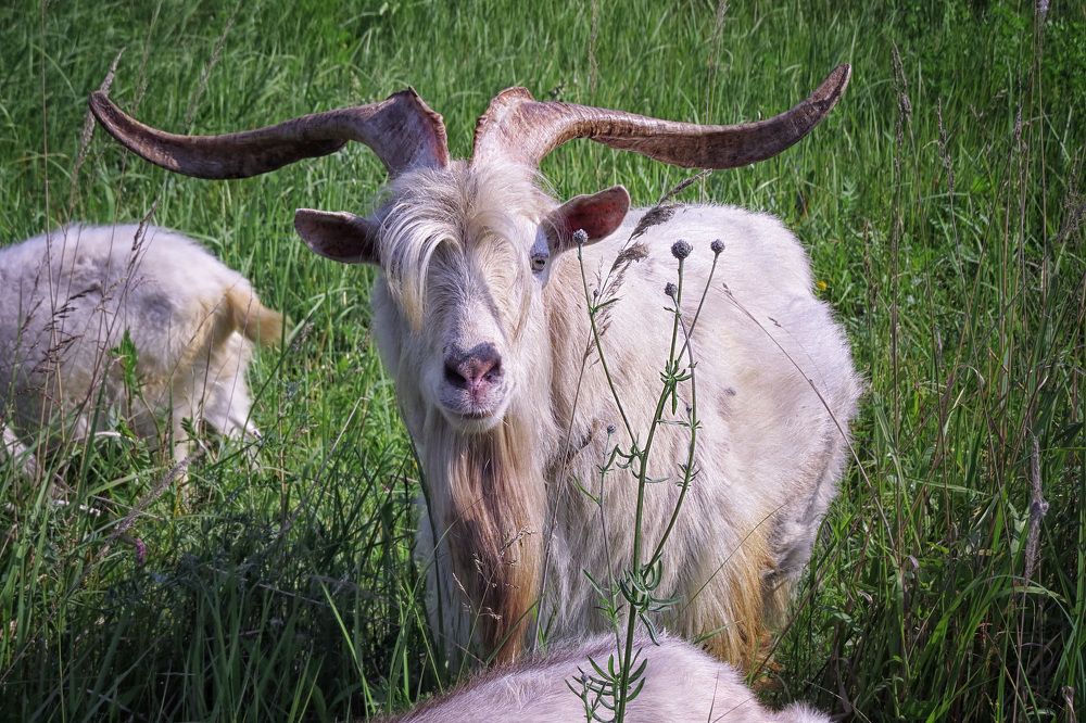 Photograph by Цветков Сергей