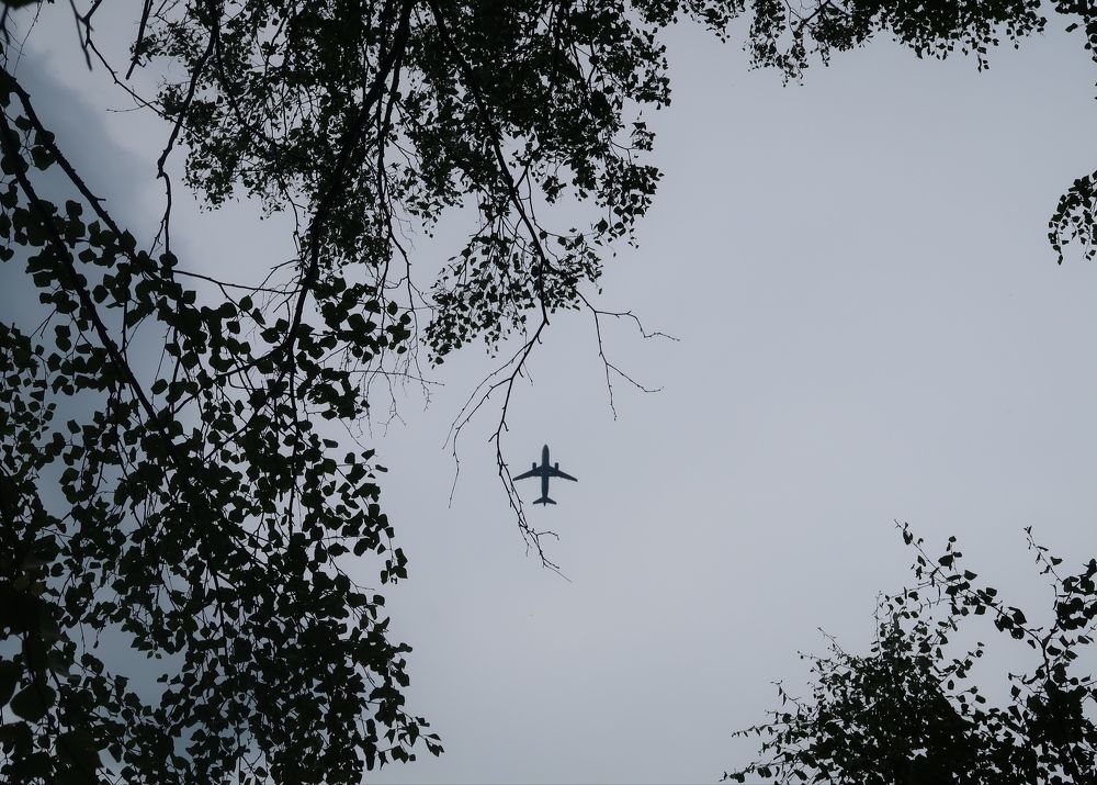 Photograph by Юлия Майкова