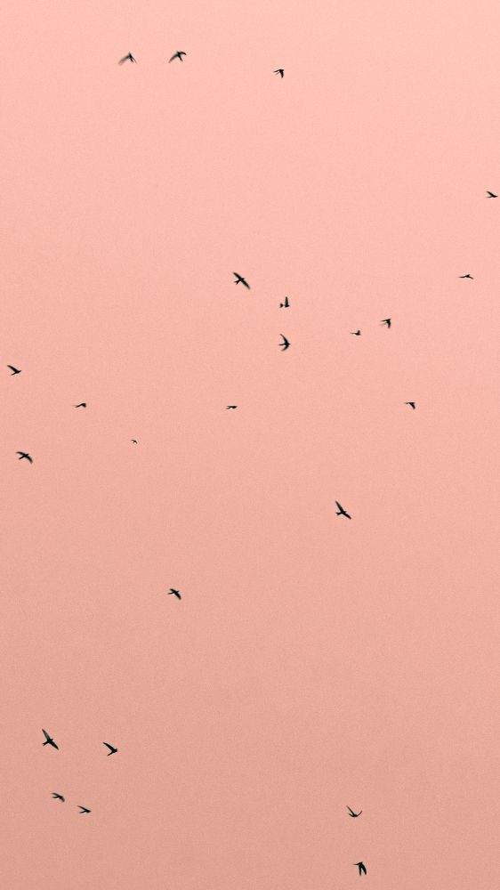 Photograph by Антон Истомин