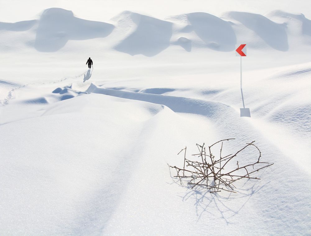 Фотография автора Hosein Davoodi