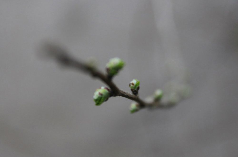 Photograph by Лозовский Эдуард