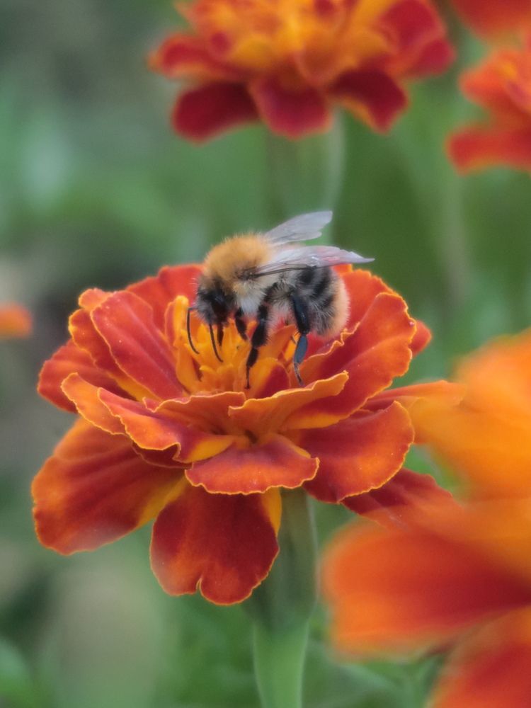 Photograph by Юлия Майкова