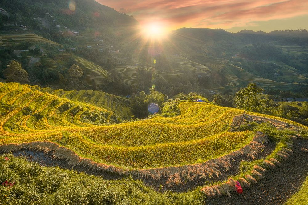 Photograph by Do Thi Thanh Binh