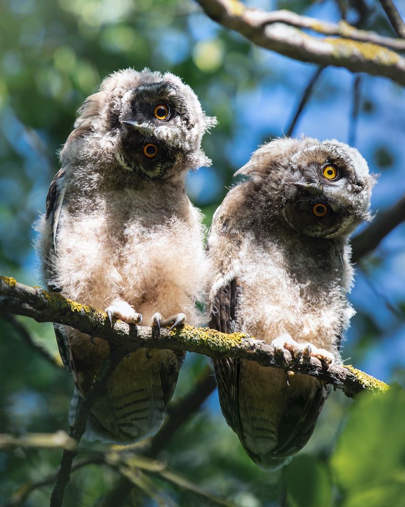 Photograph by Поляков Михаил