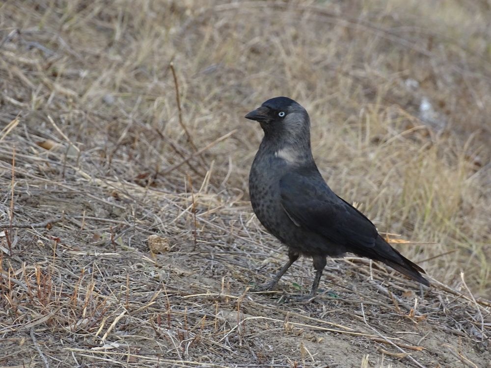 Photograph by Ирина Владимировна