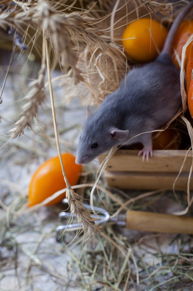 Photograph by Светлана Лукашова