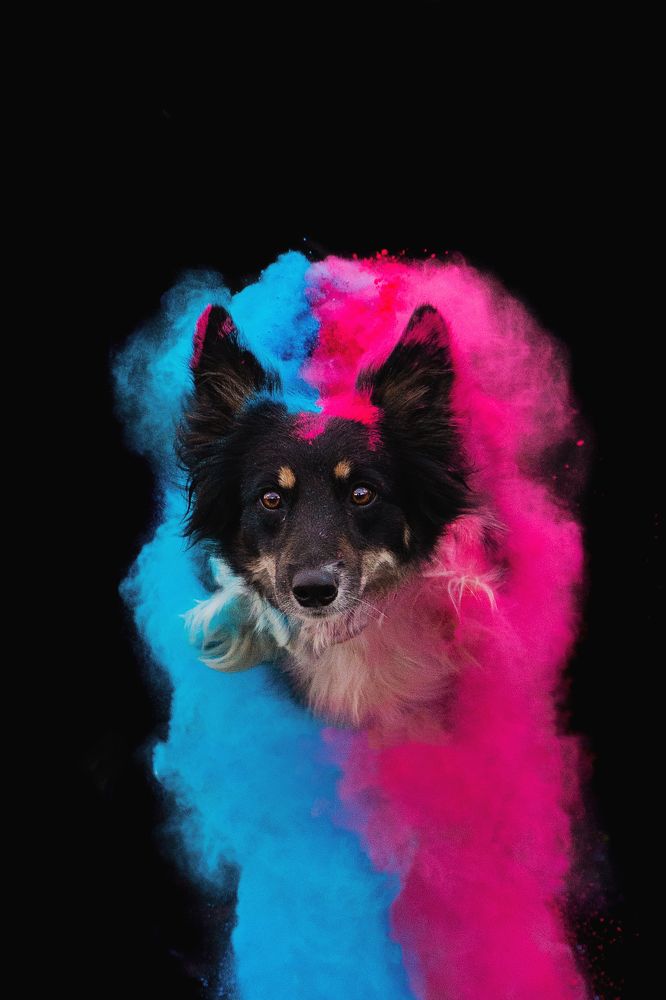 Photograph by Юлия Бец