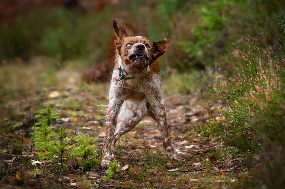 Photograph by Рудченко Ольга