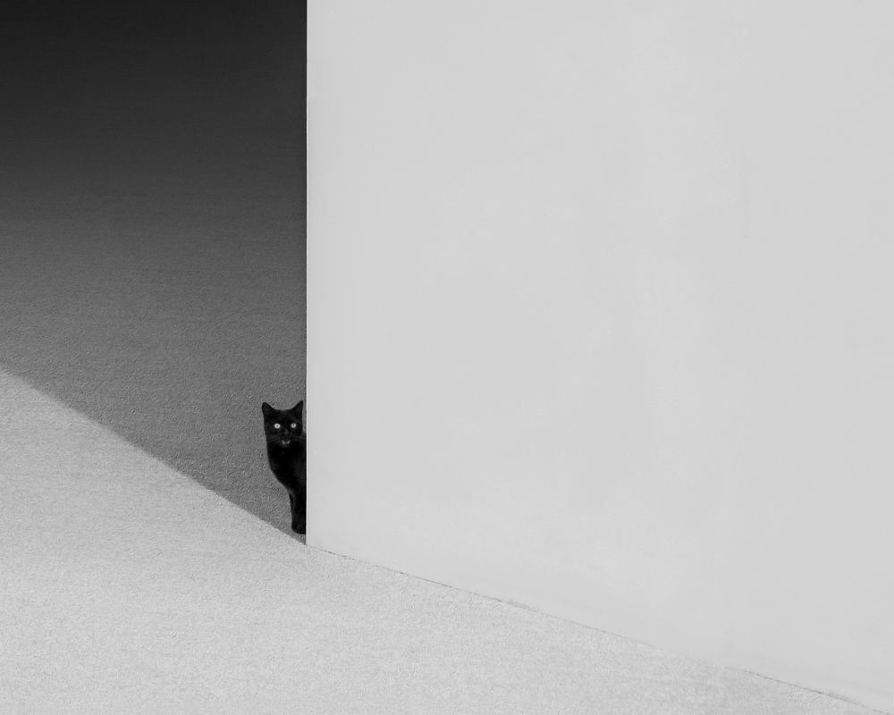 Photograph by Ali Zolghadri