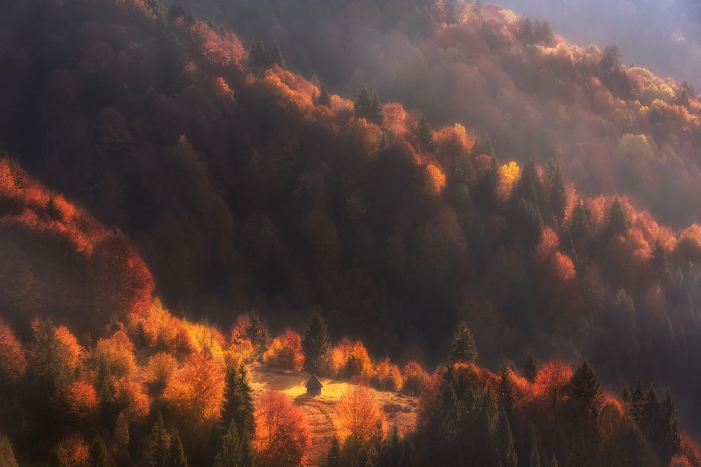 Фотография автора Рудченко Ольга