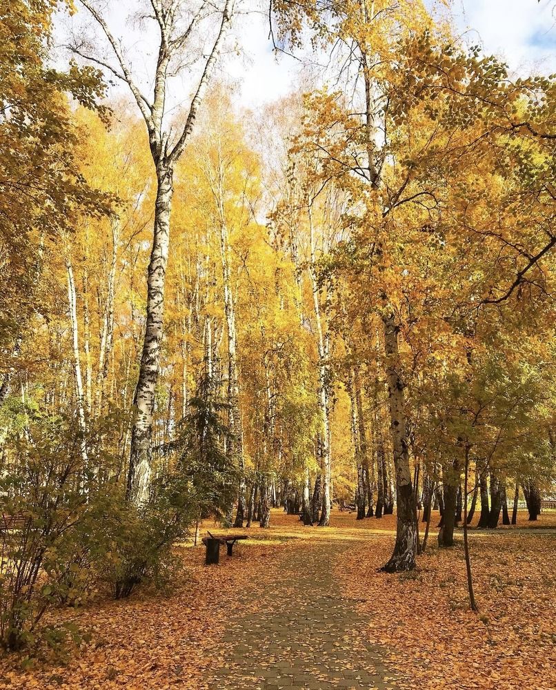 Photograph by Татьяна Волохова