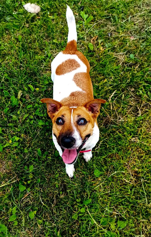 Photograph by Дарья Маркина