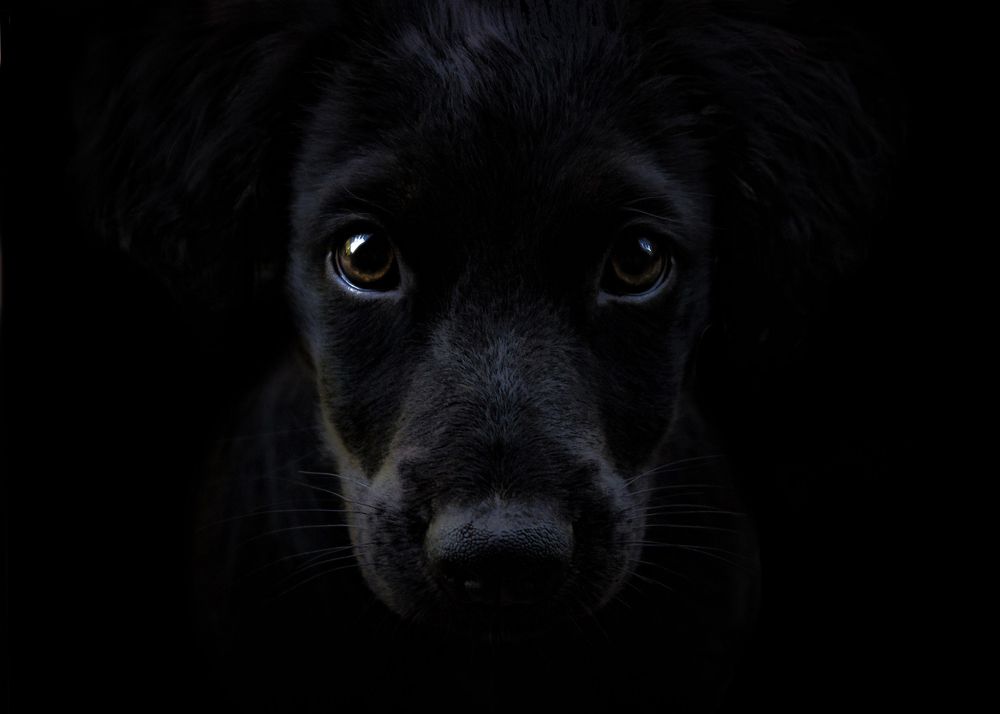 Photograph by Христина Жемчугова