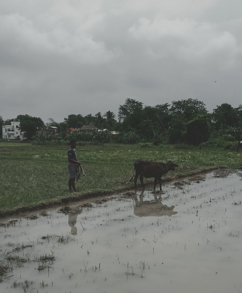 Photograph by Souvik Bhattacharyya