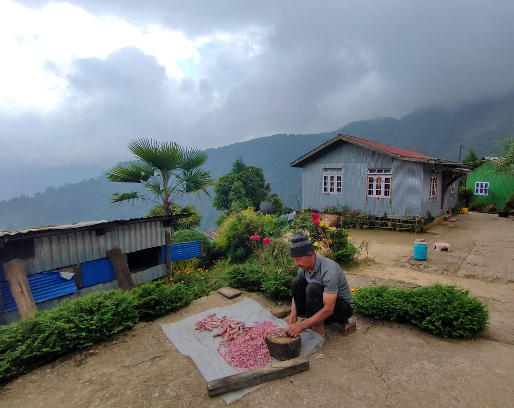 Photograph by Debartha Saha