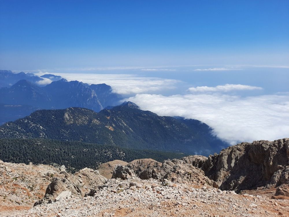 Photograph by Ольга Ремезова