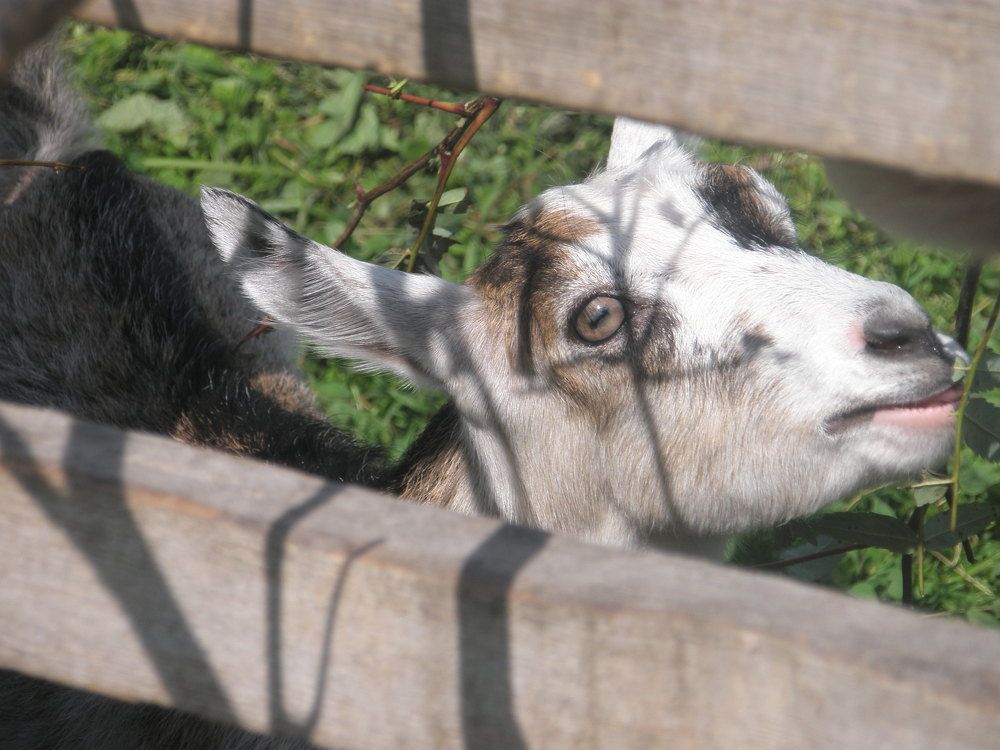 Photograph by Татьяна Смирнова