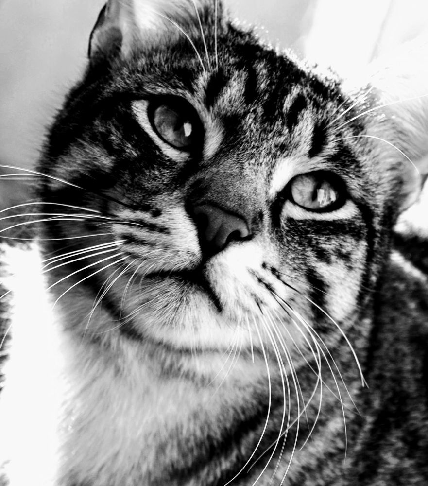 Photograph by Sakhria Mbarki