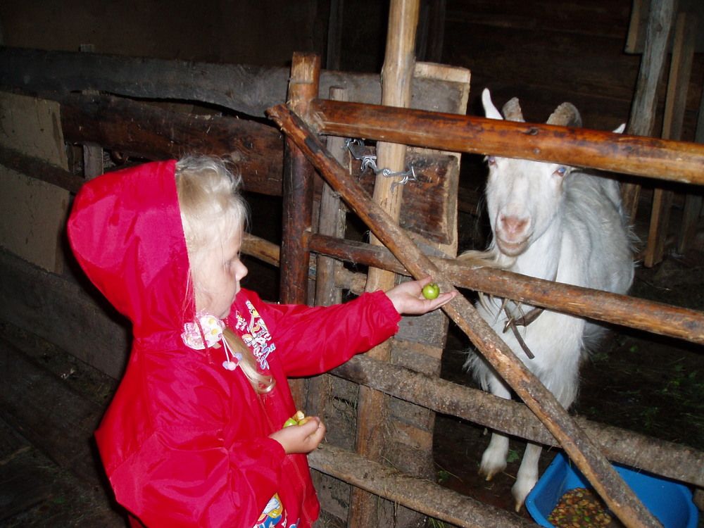 Photograph by Татьяна Смирнова