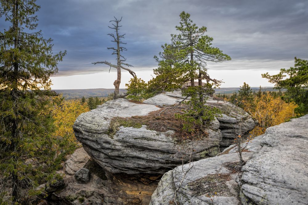 Photograph by Irina Grigoryeva