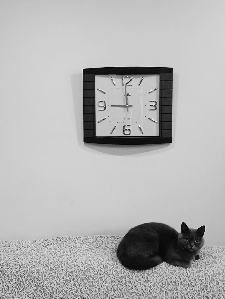Photograph by Арсен Алабердов