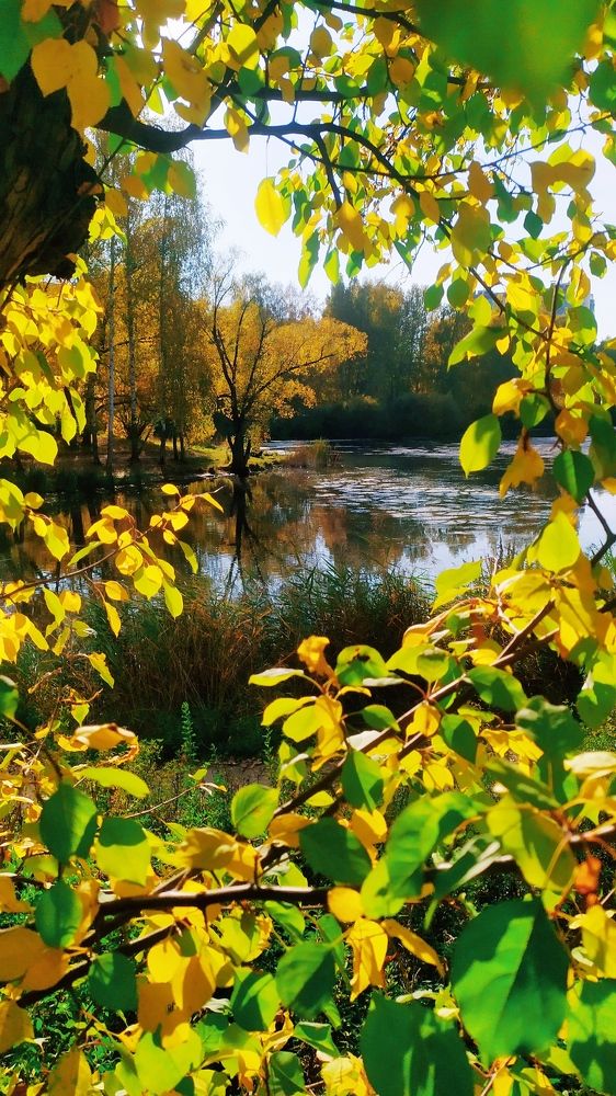 Photograph by Татьяна Лихачева