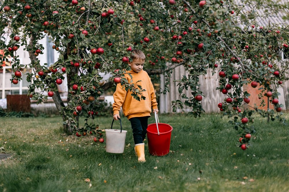 Photograph by Оксана Печкурова