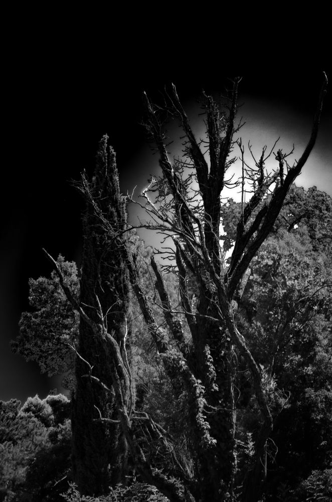 Photograph by Андрей Савёлов