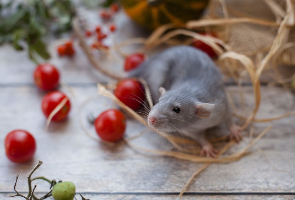 Photograph by Светлана Лукашова